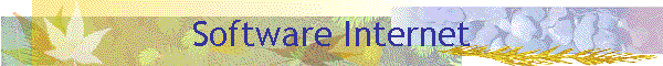 Software Internet