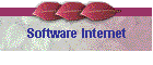 Software Internet